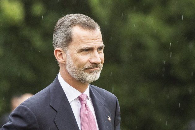 Rei Felip VI pluja Premis Princesa de Girona - Sergi Alcàzar