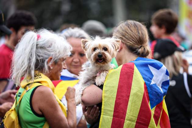 Diada 11S 2024 manifestació / Foto: Montse Giralt Diada 11S 2024 manifestació / Foto: Montse Giralt