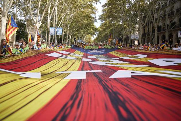 Diada 11S 2024 manifestació / Foto: Irene Vilà Diada 11S 2024 manifestació / Foto: Irene Vilà