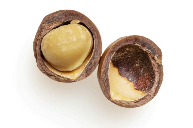 Los aceites naturales de la nuez nutren la madera / Foto: Unsplash Los aceites naturales de la nuez nutren la madera / Foto: Unsplash