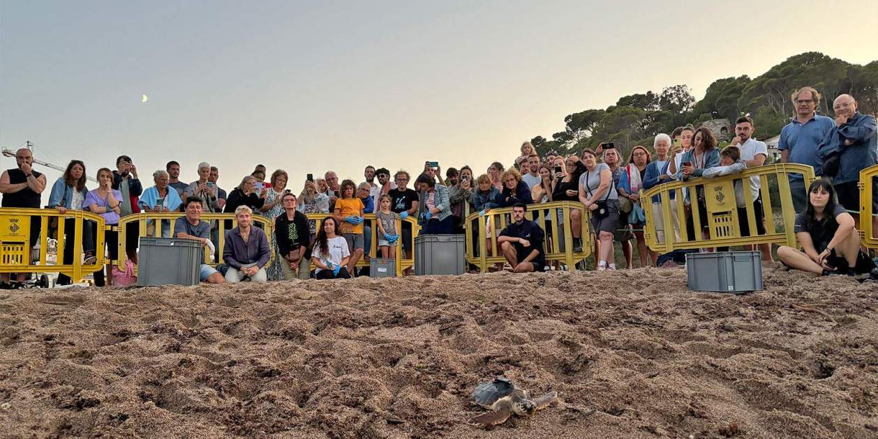 2024 liberación begur siete 5 gSp2MpS 2024 liberación begur siete 5 gSp2MpS