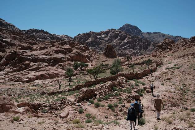 sinai unsplash (2) sinai unsplash (2)