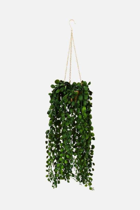 Planta de Primark Planta de Primark