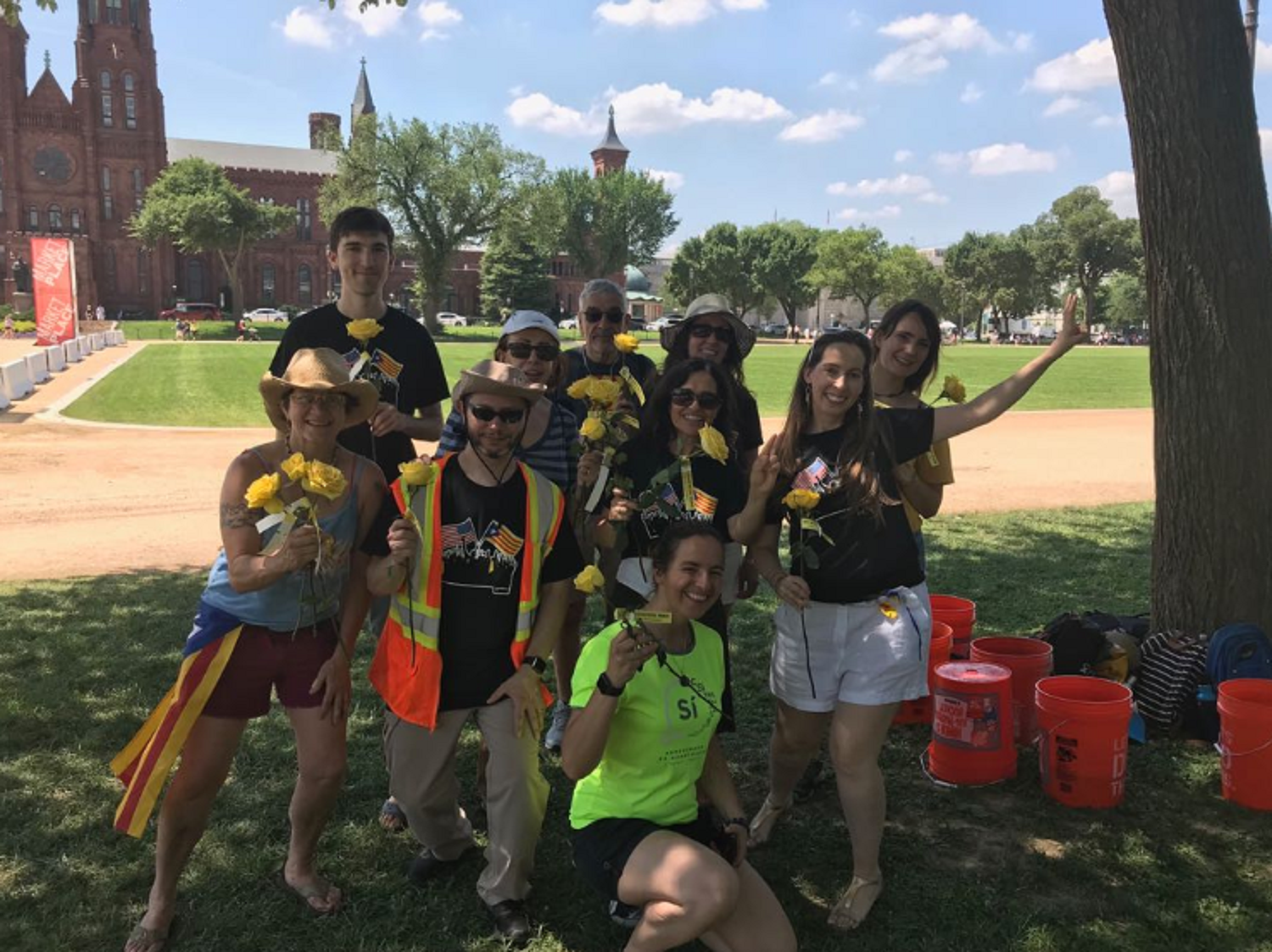 Reparto de flores amarillas en el National Mall de Washington
