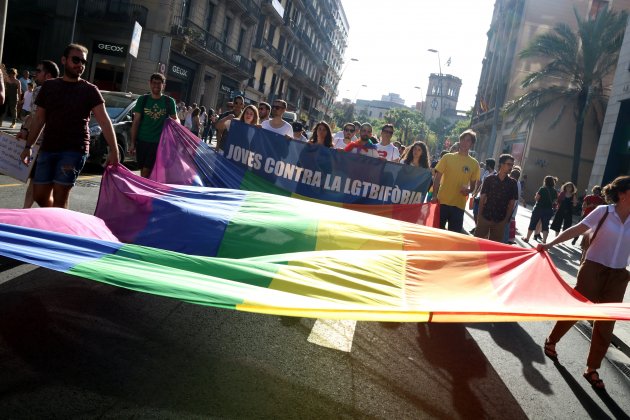 Manifestación LGTBI Barcelona ACN