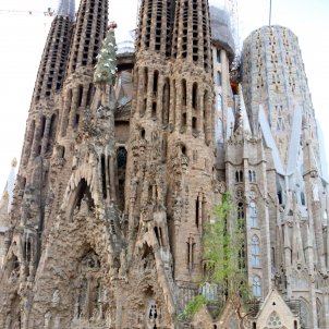 sagrada família acn