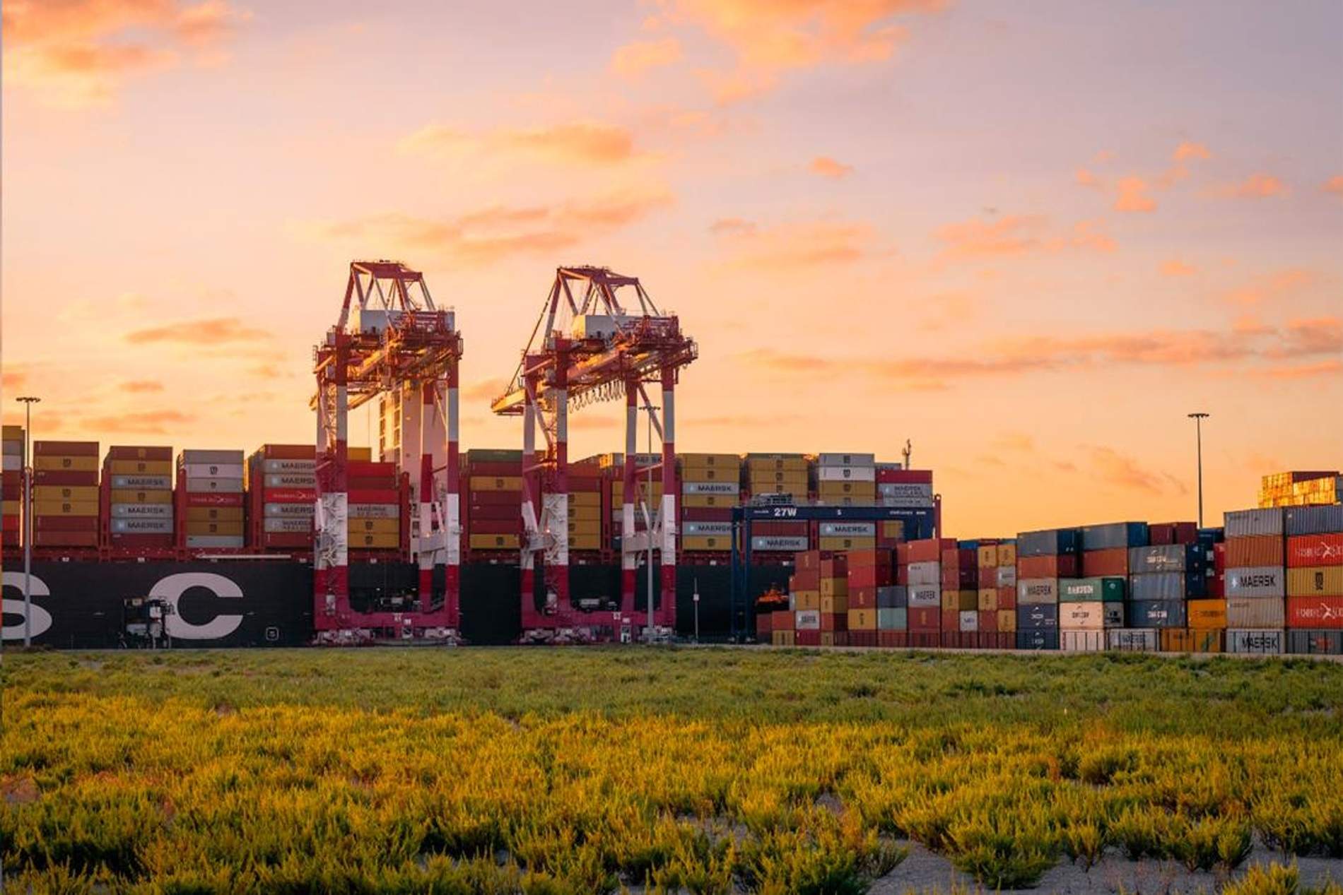 El tràfic total del Port de Barcelona creix un 11% al juliol