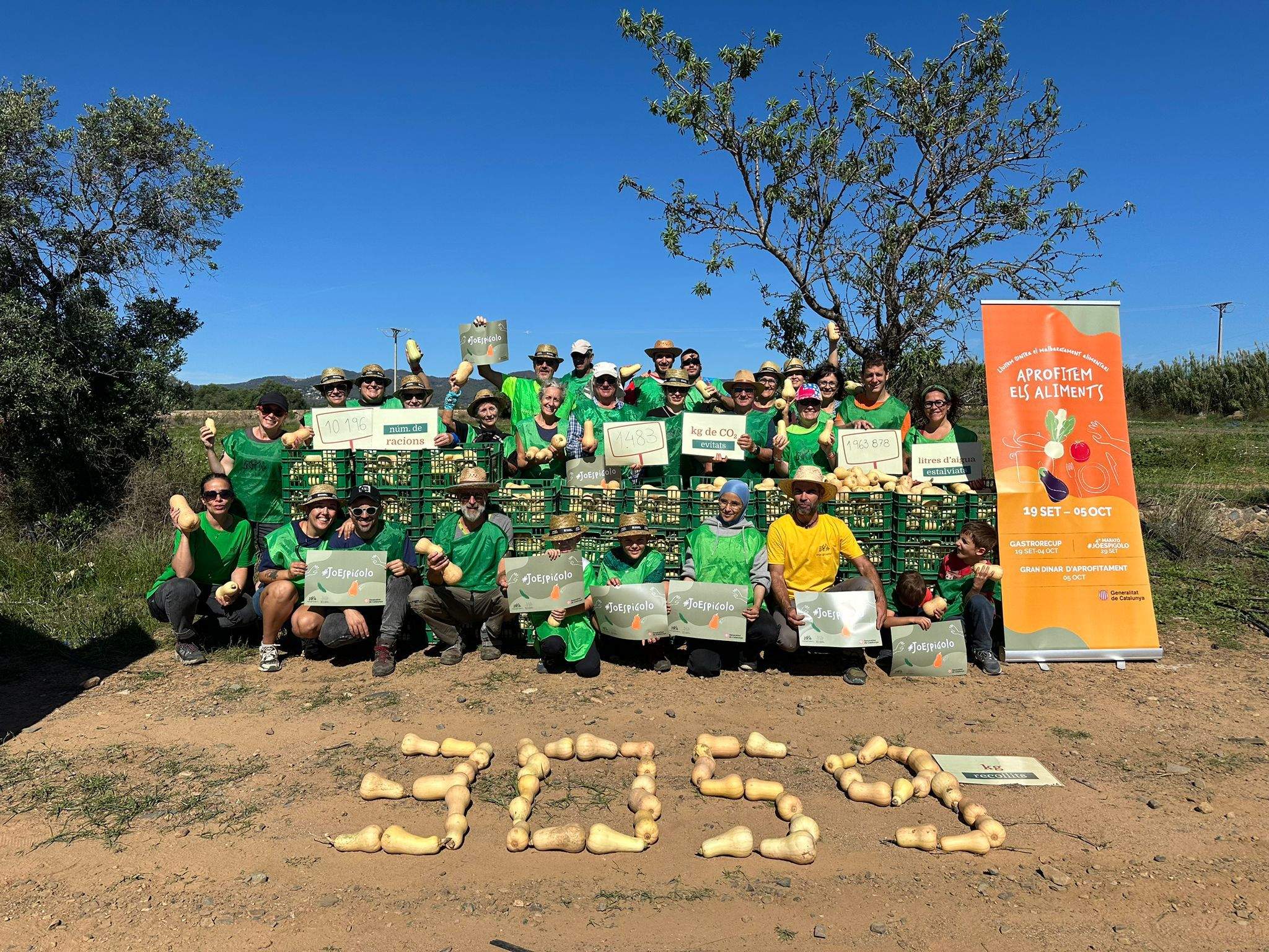 Voluntaris contra el malbaratament alimentari recuperen 12 tones de fruita als camps catalans