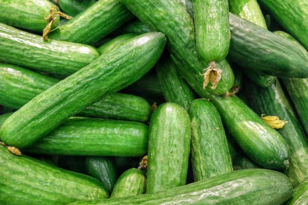 Una de las claves es golpear el pepino antes de cortarlo / Foto: Unsplash Una de las claves es golpear el pepino antes de cortarlo / Foto: Unsplash