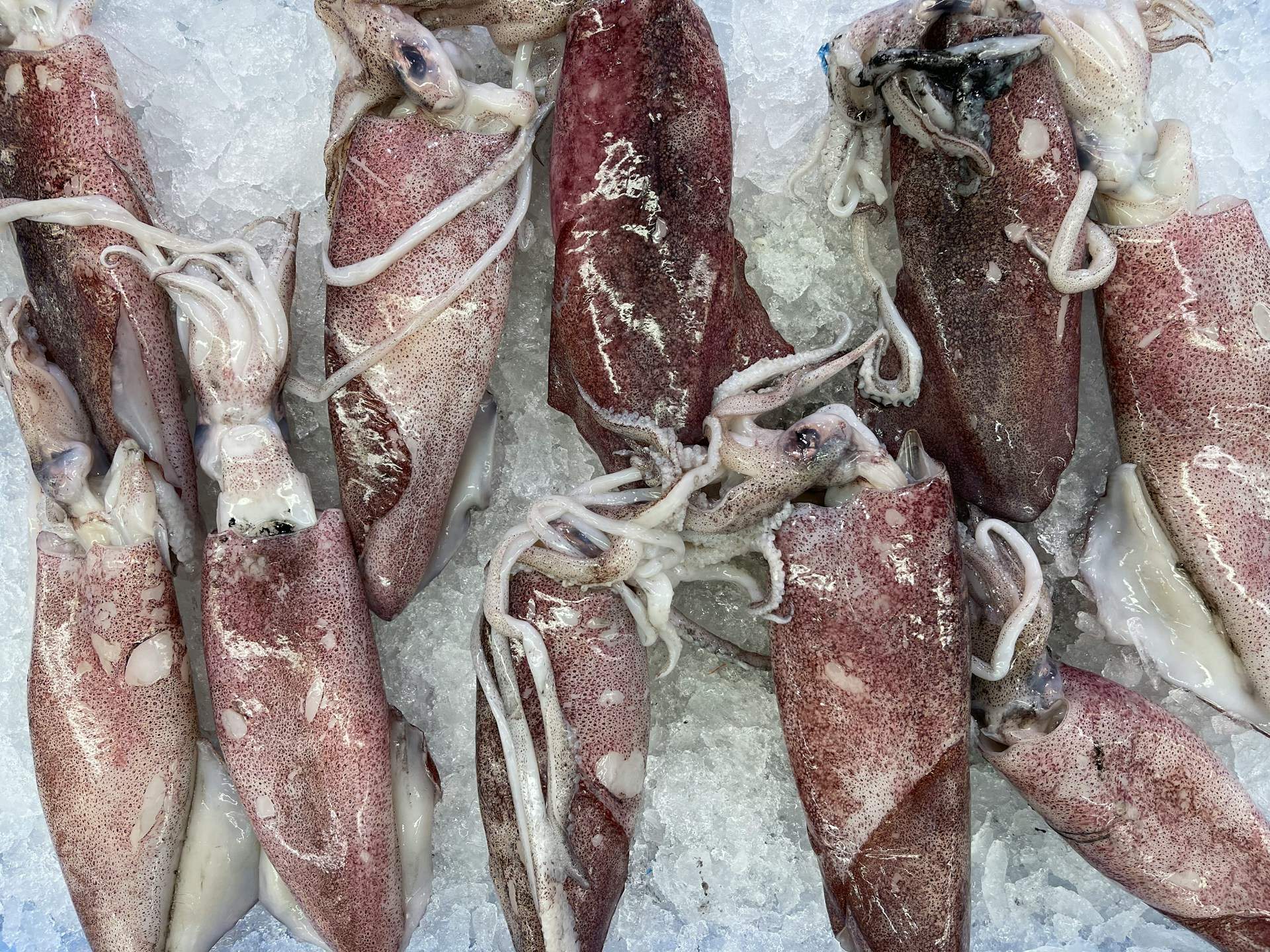 Cómo se limpian los calamares: el paso a paso y los mejores trucos