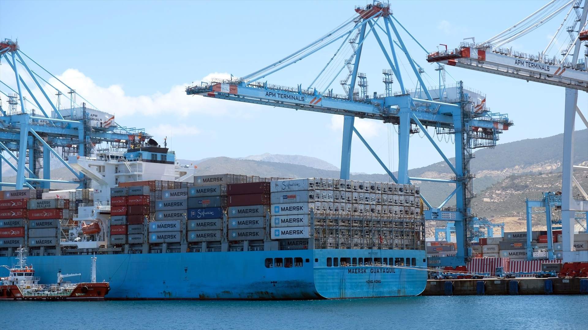 El TJUE tomba l'acord de pesca de la UE amb el Marroc perquè vulnera els drets del Sàhara Occidental