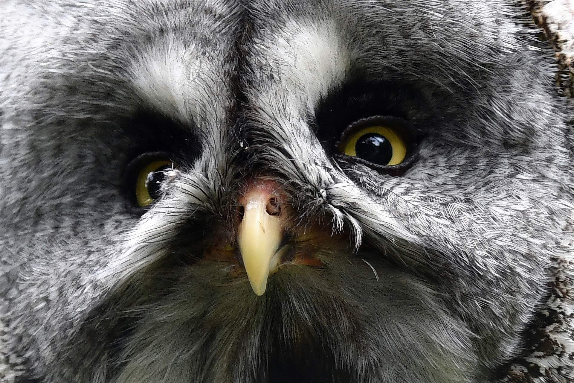 Liberec (República Txeca)