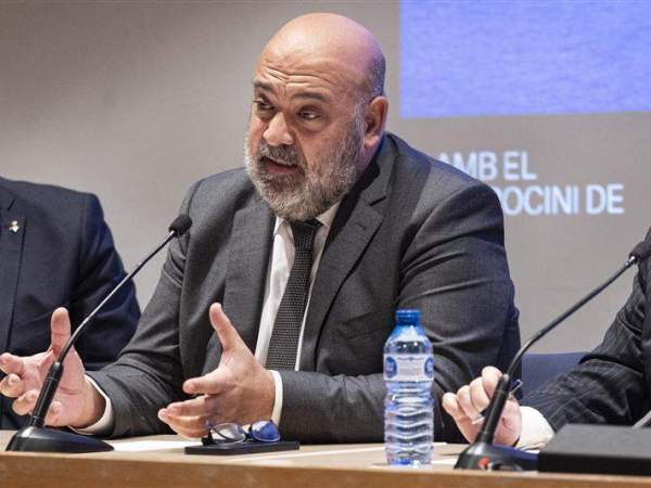 alcalde Palma alcalde Palma