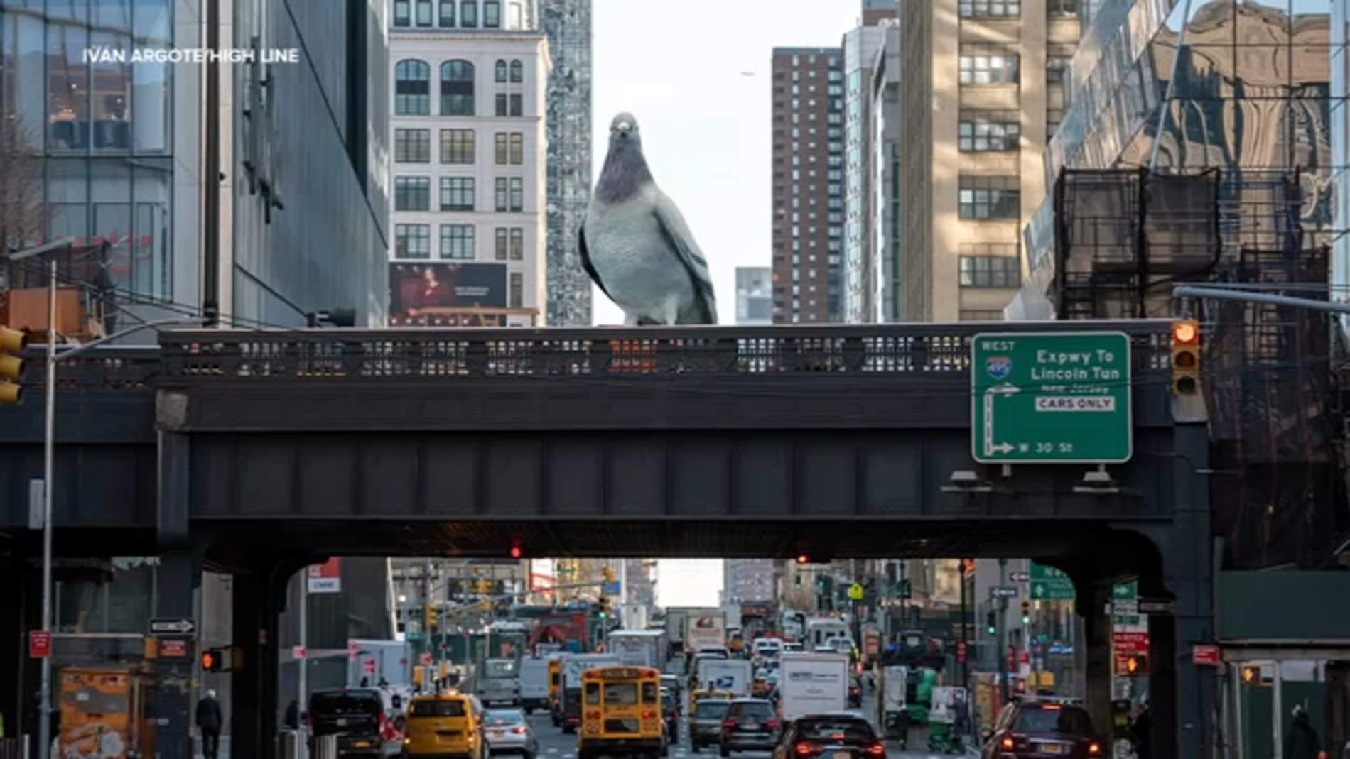 L’escultura d’un colom gegant que vigila Nova York és la nova sensació turística de la ciutat