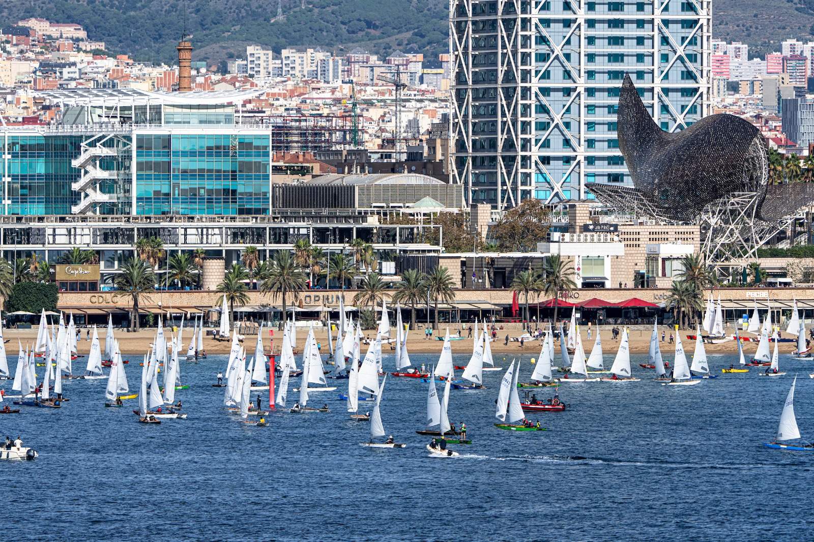 Rècord mundial en una jornada històrica: més de 350 patins de vela a la costa catalana