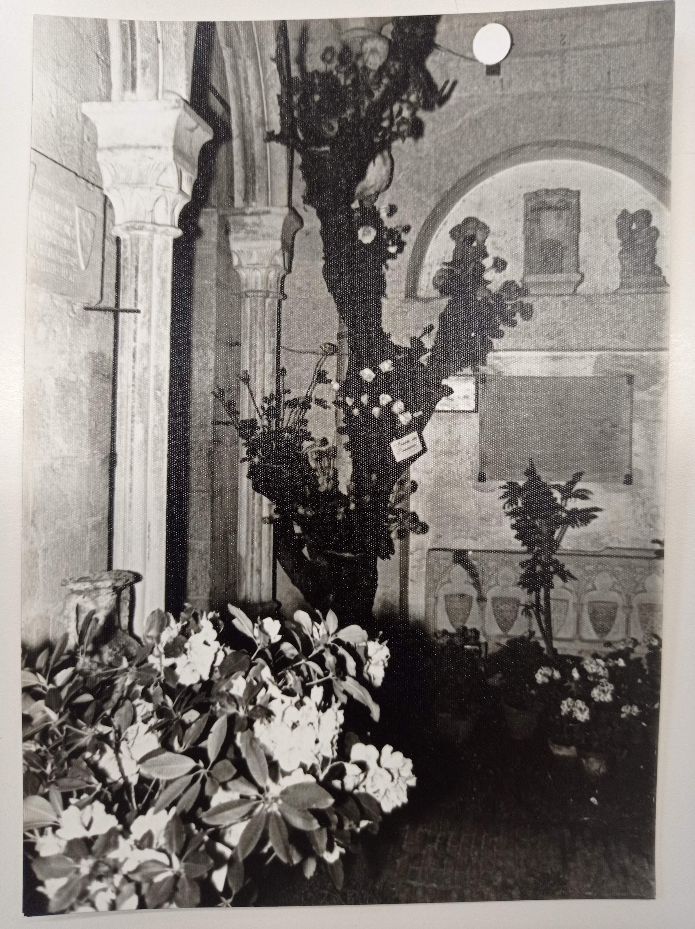 Lleona Girona a Sant Pere de Galligants, muntatge floral 1965 / ACN Lleona Girona a Sant Pere de Galligants, muntatge floral 1965 / ACN