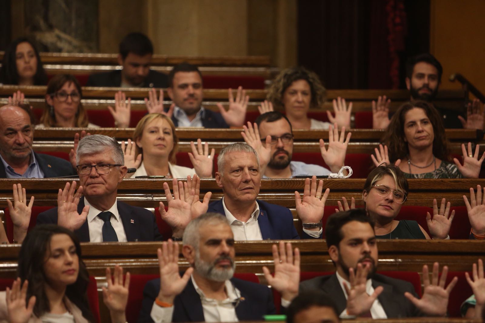 Ciudadanos sale en tromba para defender al grupo que retiraba lazos amarillos