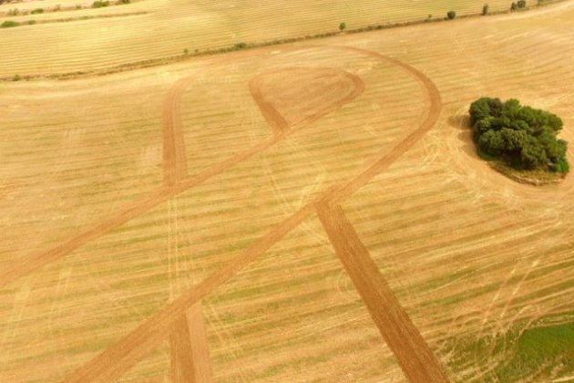 llaç groc artistes republica 2