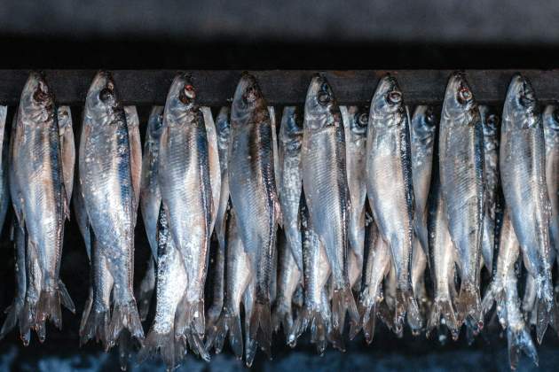 Arenque fermentado / Foto: Unsplash Arenque fermentado / Foto: Unsplash