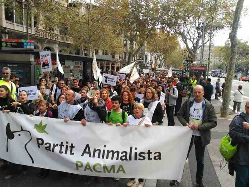 El PP se queda con tan sólo 140.000 votos más que el PACMA