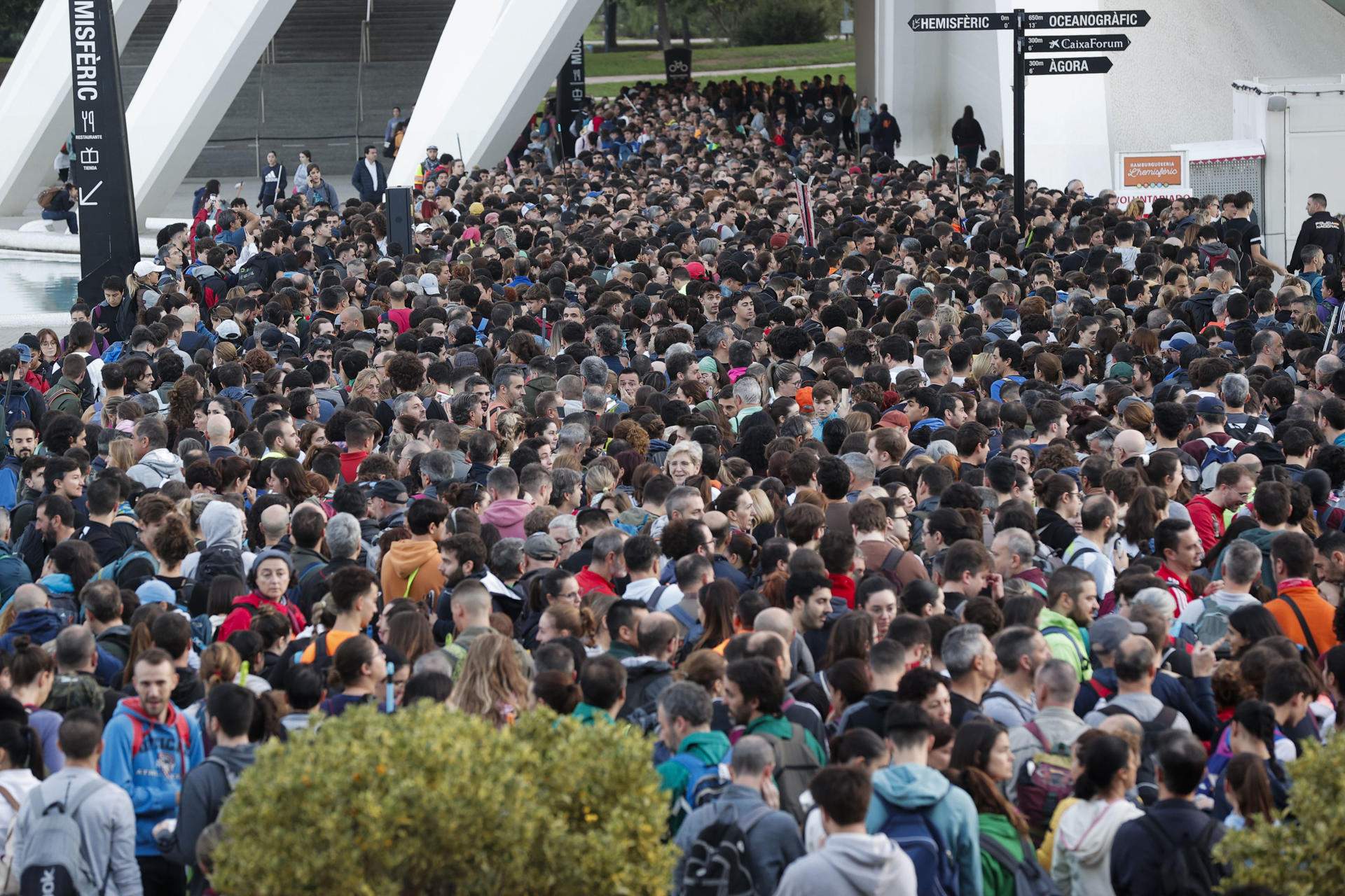 La Ciudad de las Artes, epicentro de la gestión de voluntarios: miles de personas esperan para ayudar