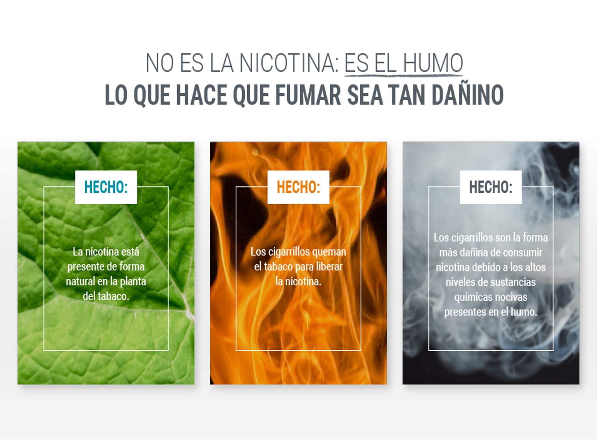 Què és la nicotina infografia Què és la nicotina infografia