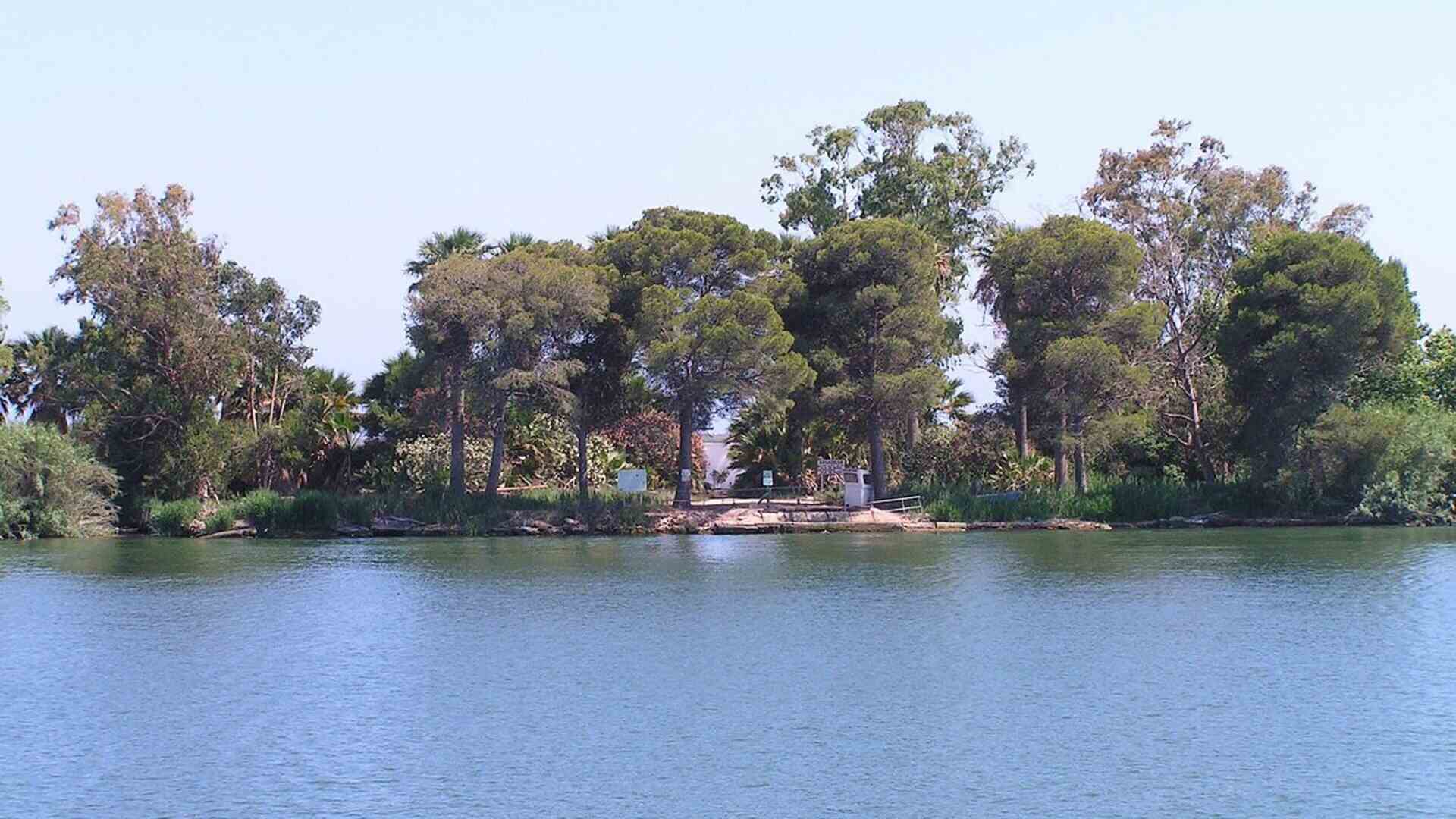 Saps què és l'arròs de l'illa de Buda? El secret dels millors paellers catalans