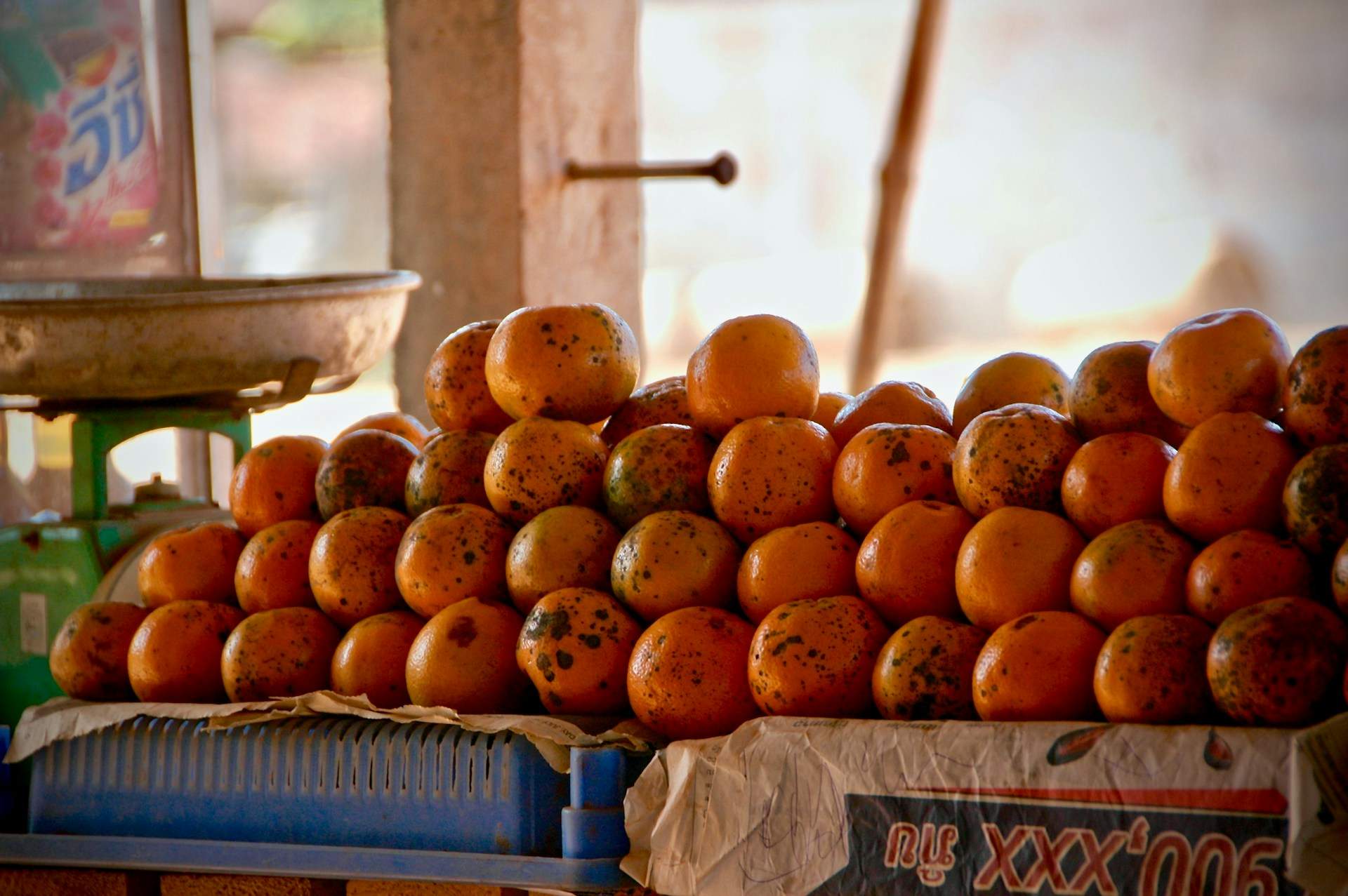 Los usos sorprendentes de la cáscara de la mandarina: ¡no la tires!