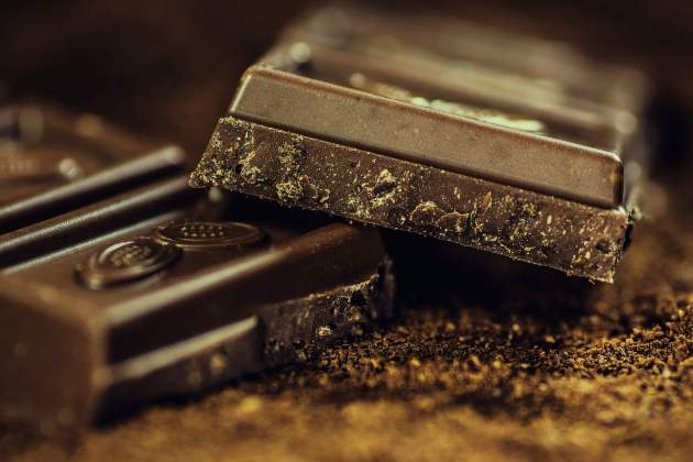 Rajola xocolata / Foto: Pixabay Rajola xocolata / Foto: Pixabay