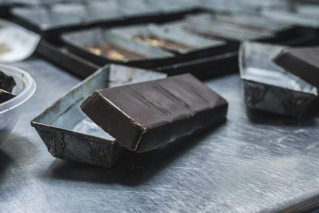 Rajola xocolata / Foto: Pixabay Rajola xocolata / Foto: Pixabay