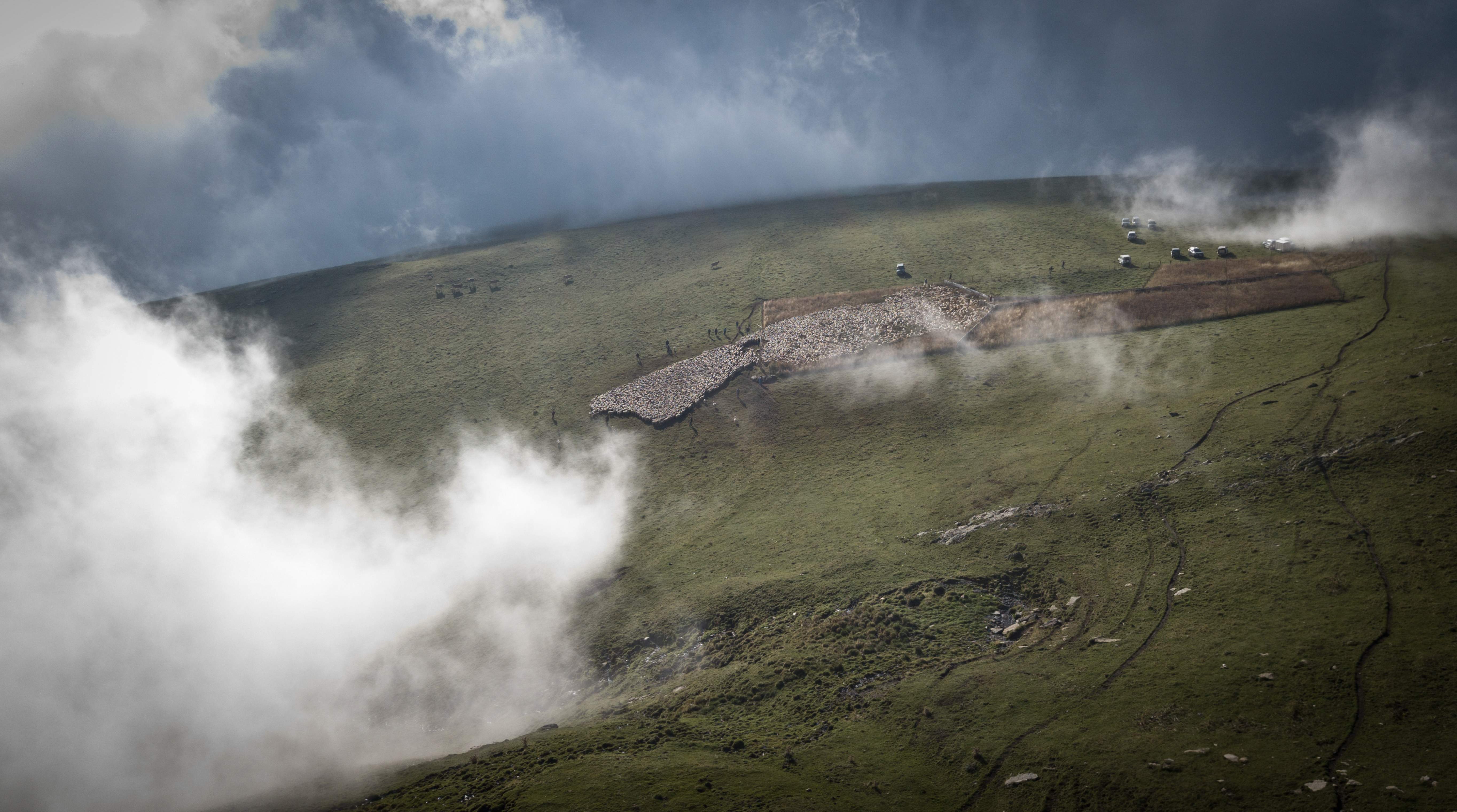 Consigue 10.000 euros para ser pastor