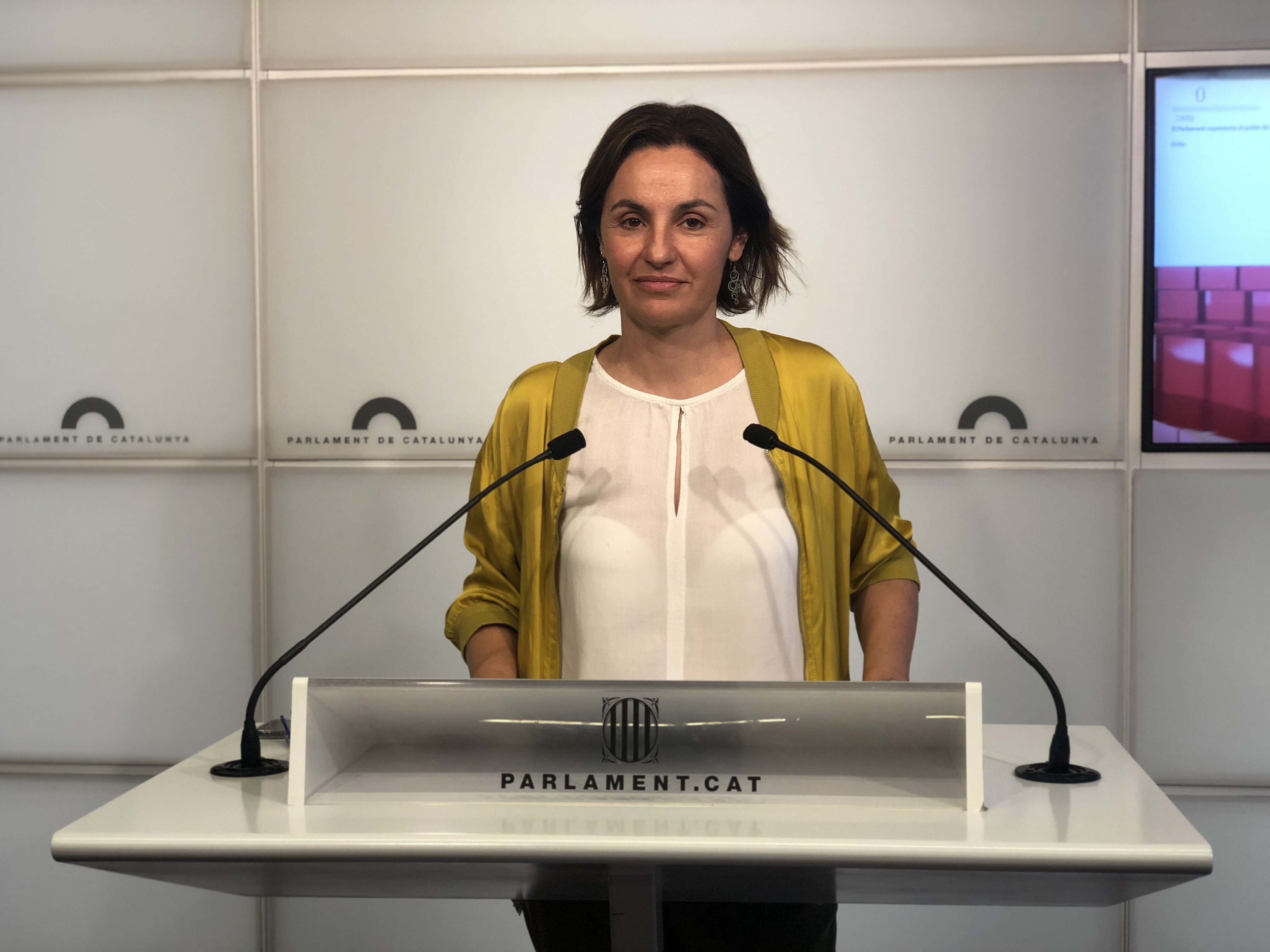 ERC denuncia que Llarena juzga "una mayoría parlamentaria"