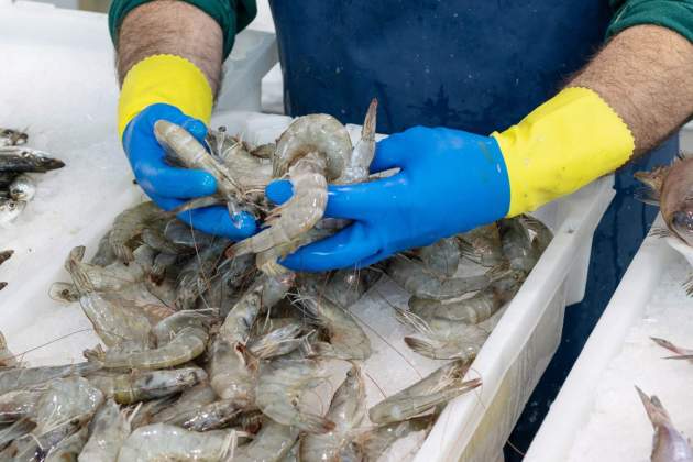 Crustáceos típicos del Mediterráneo. Foto: Gremio de Pescaderos Crustáceos típicos del Mediterráneo. Foto: Gremio de Pescaderos