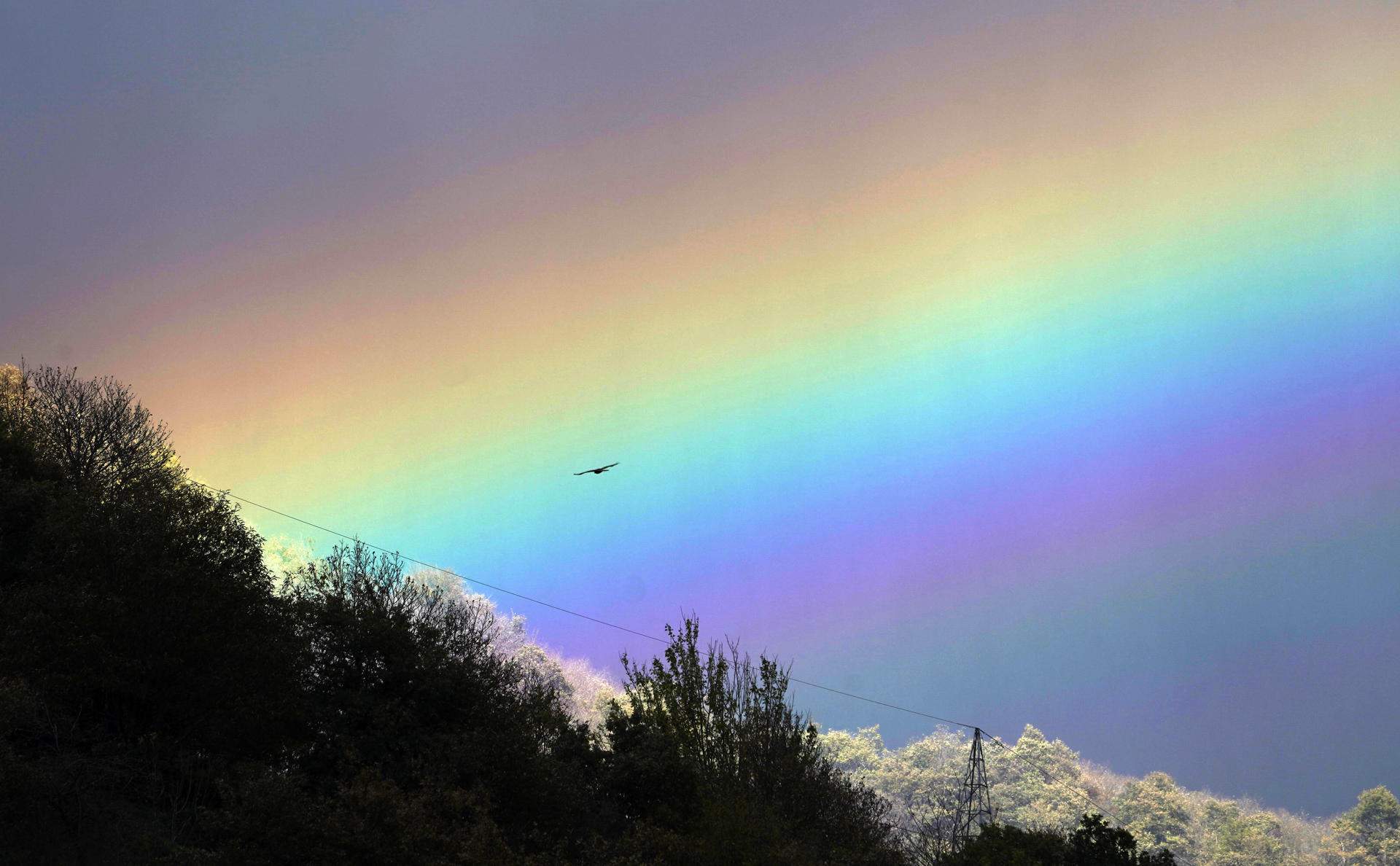 Vall Zureda (Astúries)