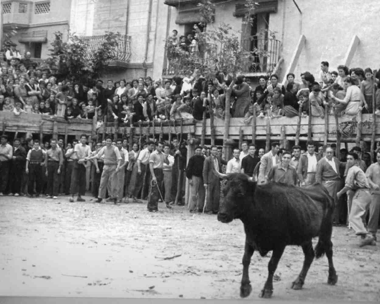 Són els toros part de la cultura catalana?