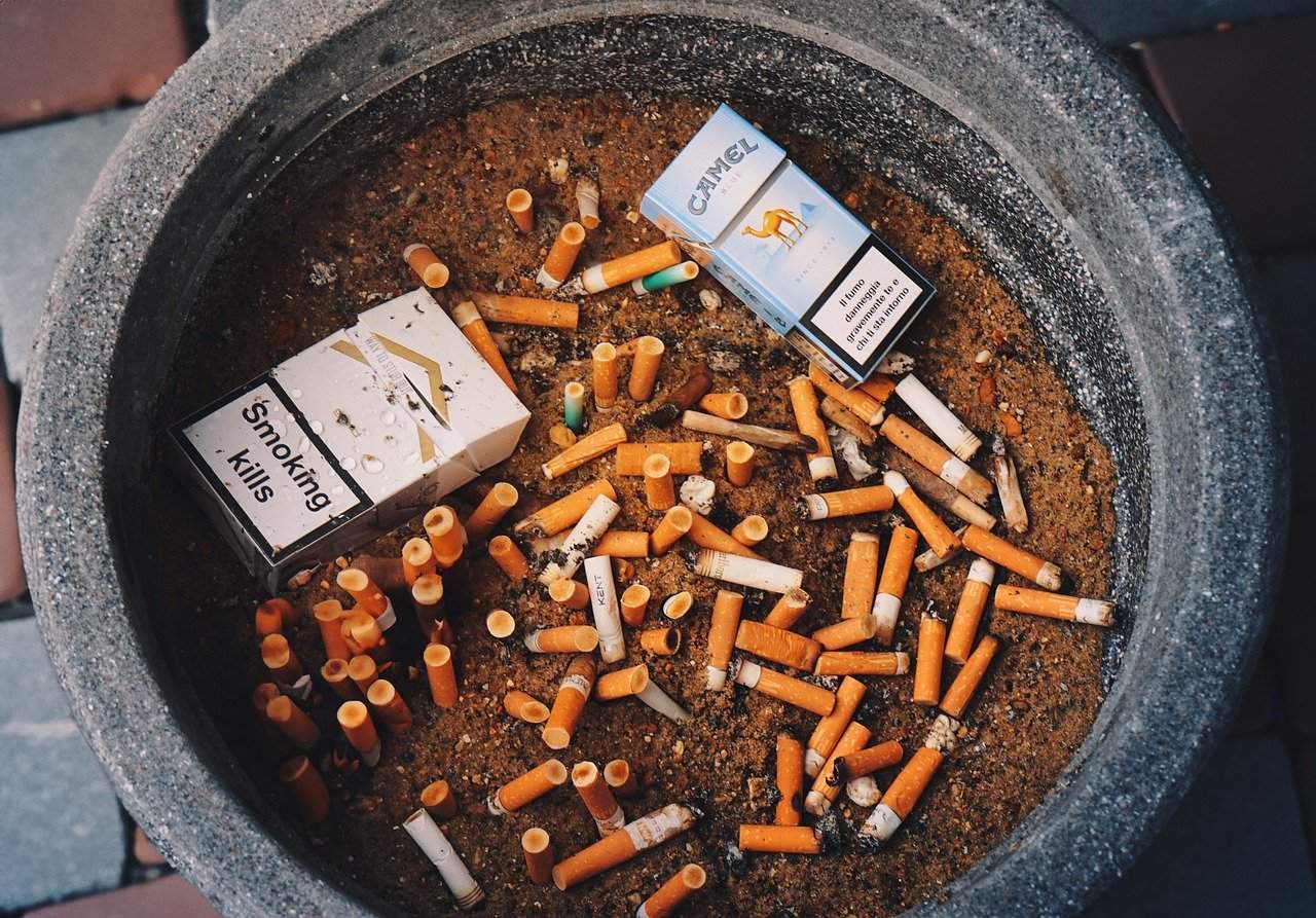 Los suecos dan una lección al resto del mundo