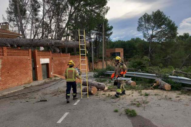 arbre caigut masquefa bombers arbre caigut masquefa bombers