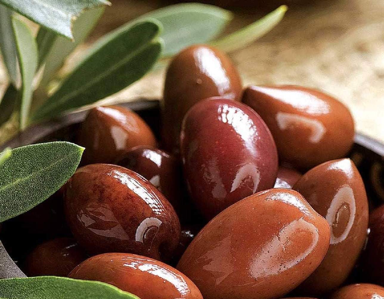 Les olives que ajuden a reduir el colesterol i que cada vegada són més conegudes a Catalunya