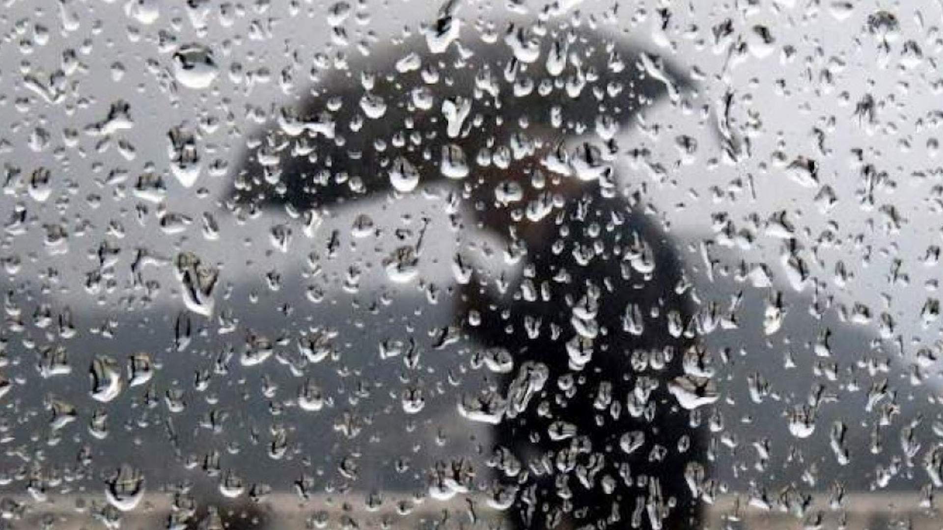 Novetats del temps a Catalunya: bogeria de temperatures i algunes pluges