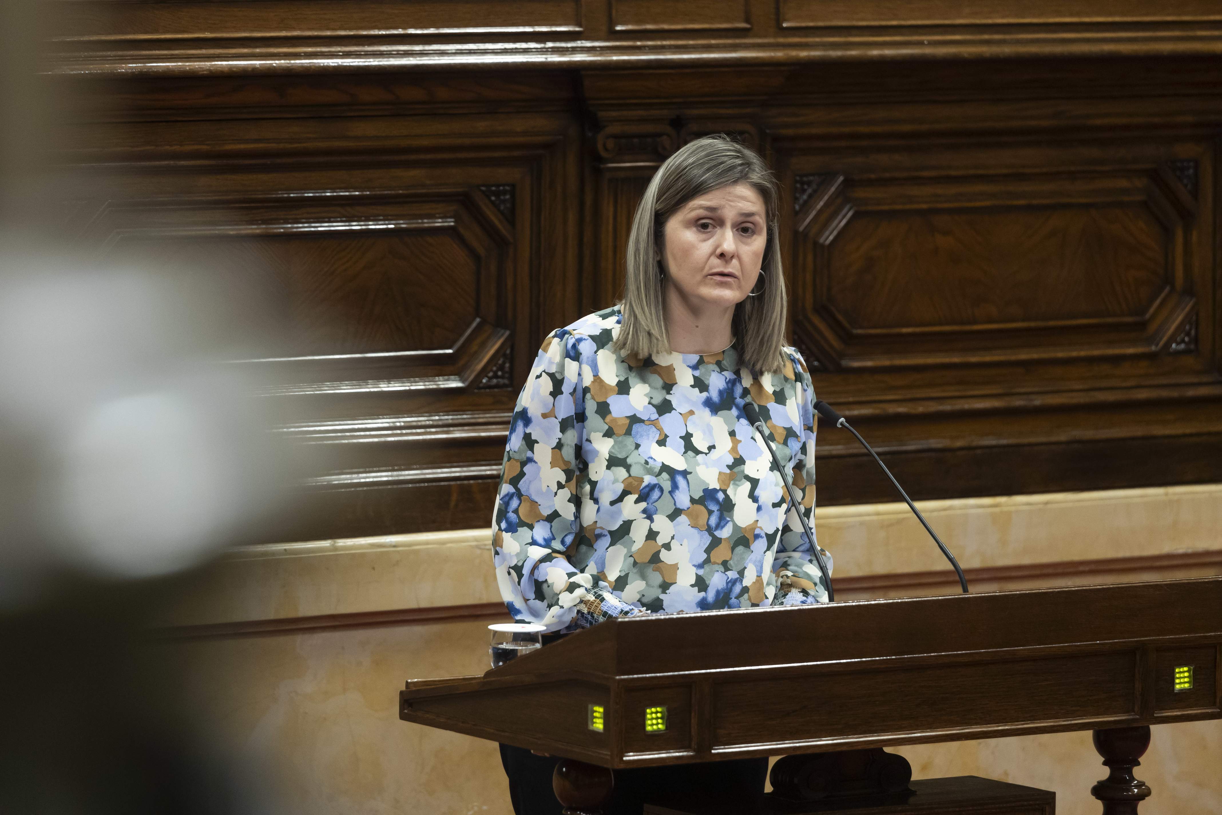 Habitatge i llengua: les reclamacions de la Síndica d'Aran al Parlament