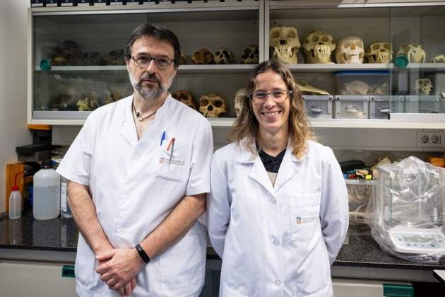 Josep M. Potau y Neus Ciurana, Universidad de Barcelona, bipedismo / UB Josep M. Potau y Neus Ciurana, Universidad de Barcelona, bipedismo / UB