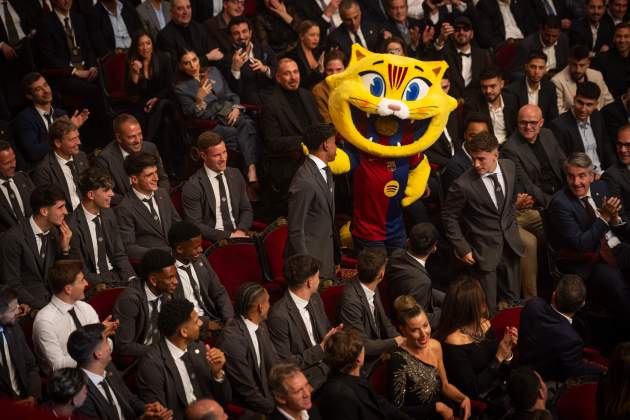 Cat, mascota del Barça al 125è aniversari / Foto: FC Barcelona Cat, mascota del Barça al 125è aniversari / Foto: FC Barcelona