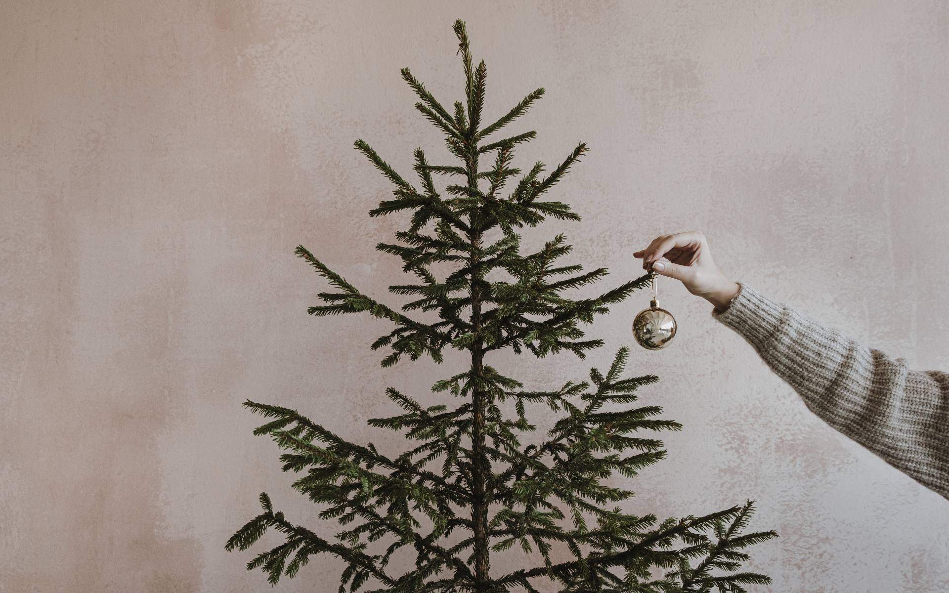 Adeu a l'arbre de Nadal tradicional: aquesta és la nova tendència europea que triomfa