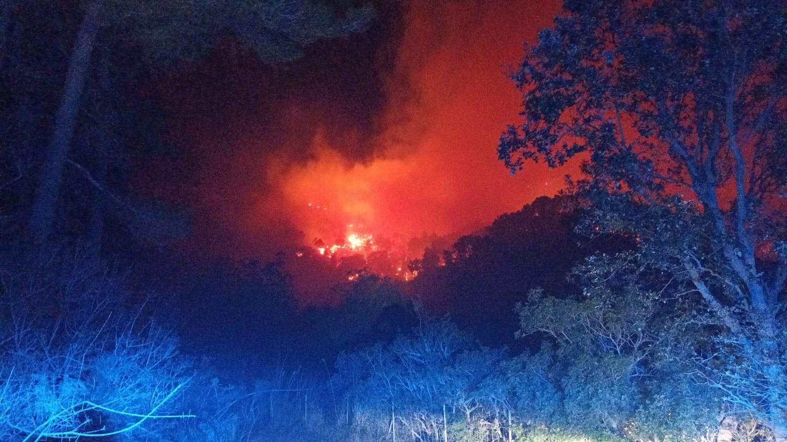 El viento complica un incendio forestal en Andratx: el gobierno balear pide ayuda a los voluntarios