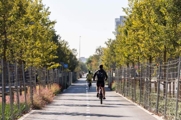 Un ciclista utilitza carril bici avinguda Meridiana.