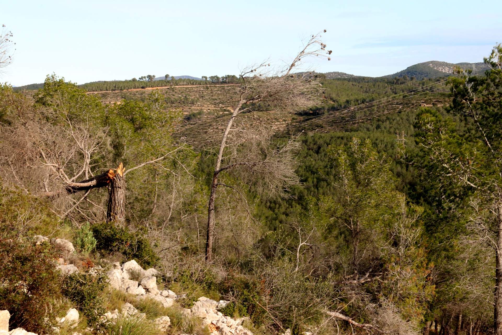 equera al Massís del Garraf (1) equera al Massís del Garraf (1)