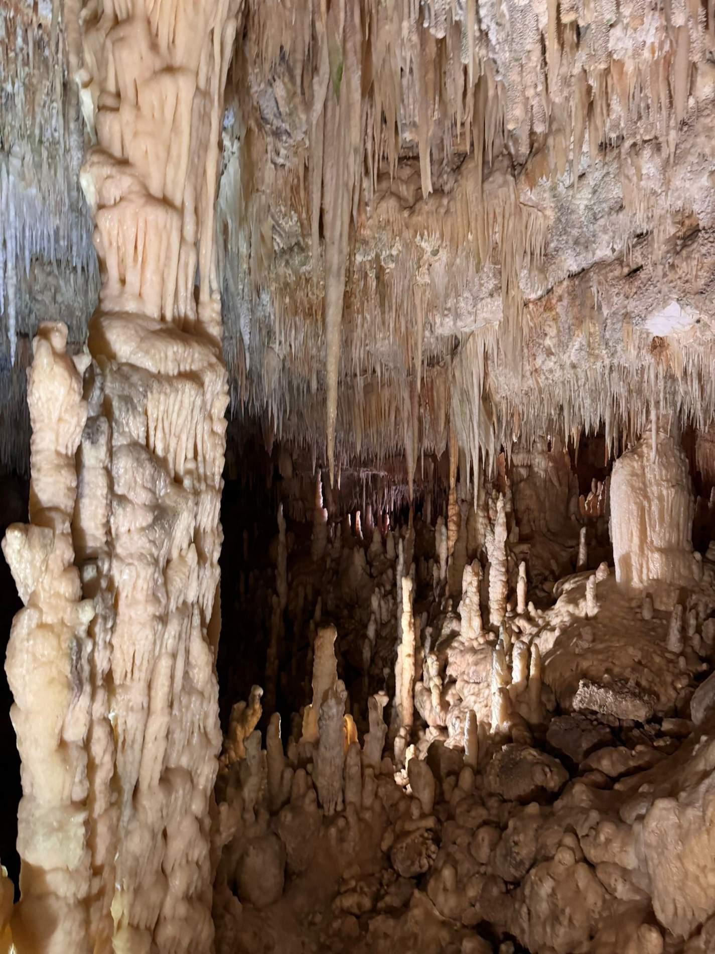 Grotte di Castellane. Cedida Àngela Masabeu Grotte di Castellane. Cedida Àngela Masabeu