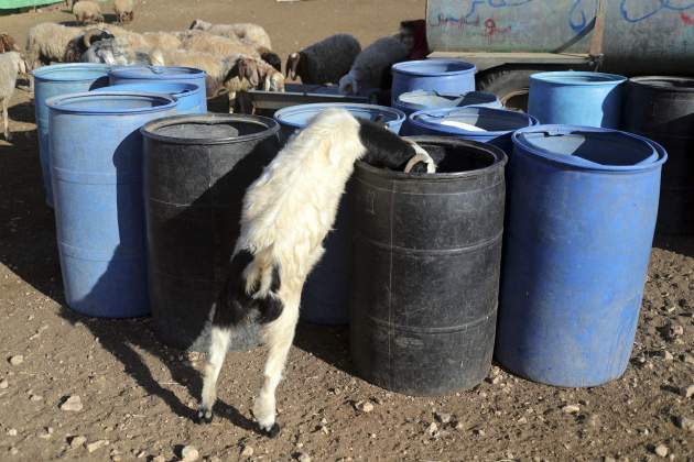 agua palestina efe agua palestina efe