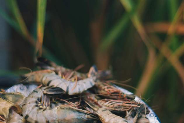 Debemos añadir sal gruesa al agua de cocción / Foto: Unsplash Debemos añadir sal gruesa al agua de cocción / Foto: Unsplash