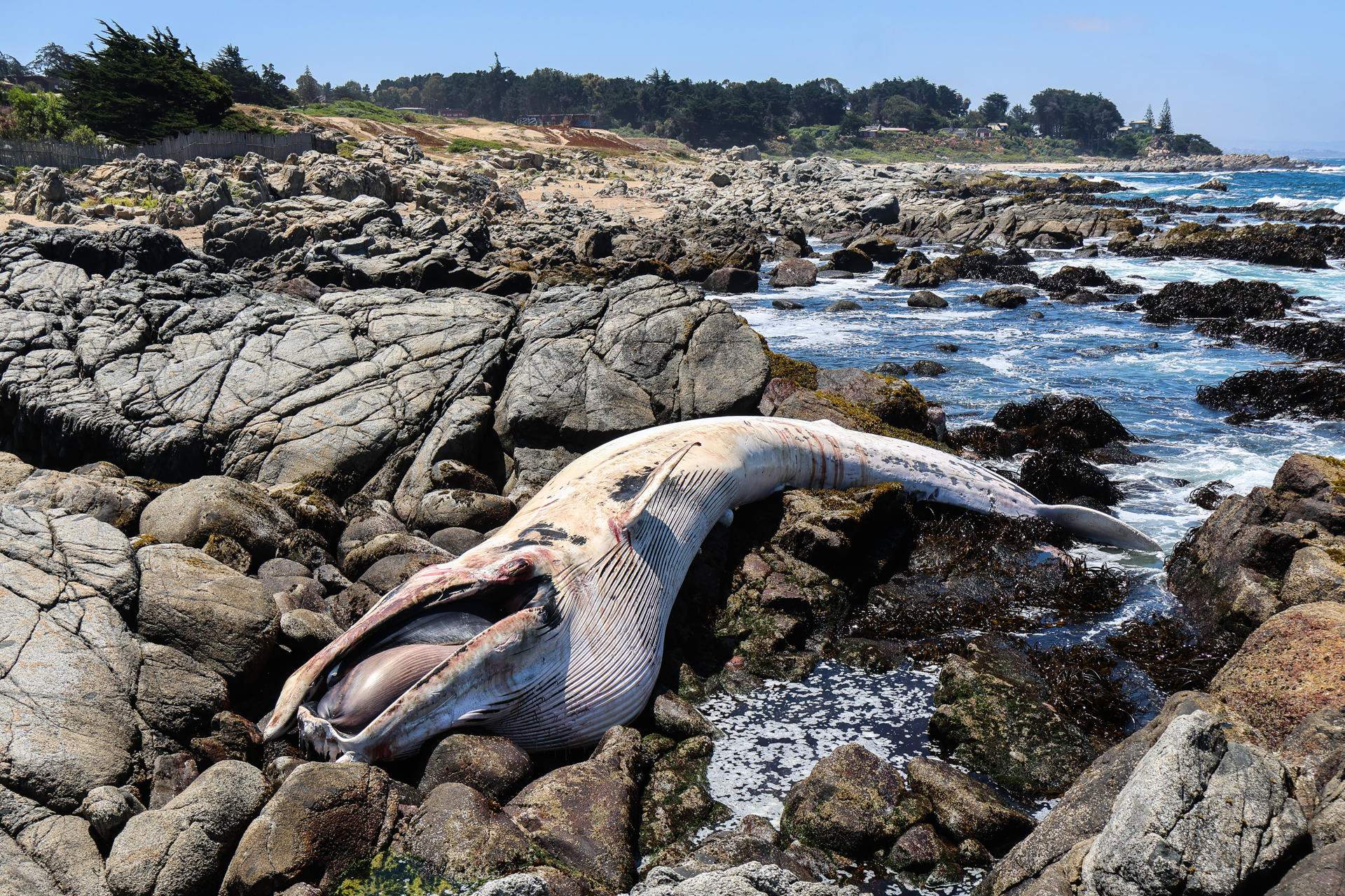 Valparaíso (Xile) Valparaíso (Xile)